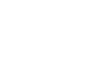 logo bianco senza sfondo 1