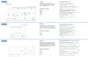 Restauro quartiere Santo Spirito tav 6